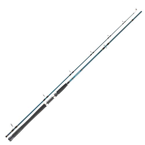 DAIWA Saltist Sea 2.40m 40-110g