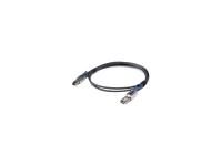 Hewlett-Packard HP - SAS-Kabel (intern zu extern) - 2,0m - für Smart Array P431/2GB with FBWC (716191-B21)