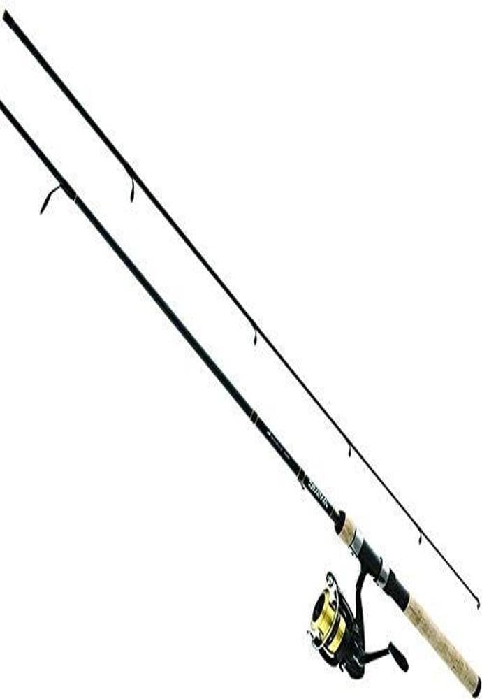 Daiwa D-Shock DSK FW Spin PMC, 6'/Medium Light, Black/Gold