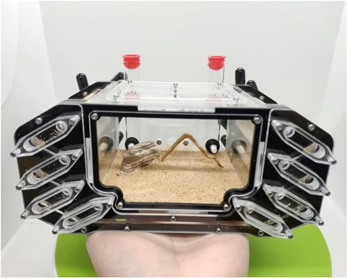 14 Reagenzgläser Gips Ameisenfarm Acryl Ameisennest Fütterungshaus Formicarium Ameisen Farmen Set Futterbox Werkstatt Beobachten Sie Lebende Ameisen (Color : B, Size : 27.7x22x13.5cm)-1