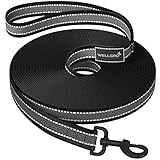 WELLGRO Schleppleine für Hunde mit Handschlaufe 3m / 5m / 10m / 15m / 20m / 25m / 30m Hundeleine robust Nylon Anti-Slip reflektierend Metallkarabiner Trainingsleine, Größen:30 Meter