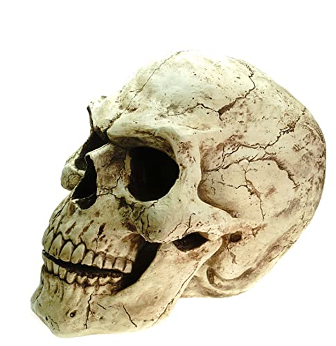 Joh.Vogler GmbH XXL Outdoor Totenschädel 47 cm Figur Statue Garten Totenkopf Schädel Skull für aussen