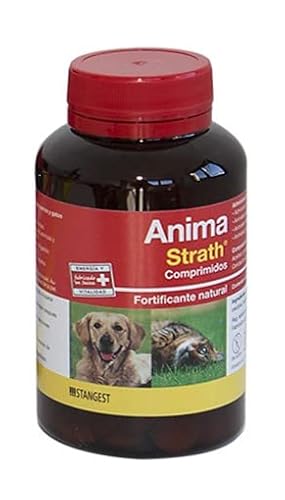 Anima Strath 240CPD