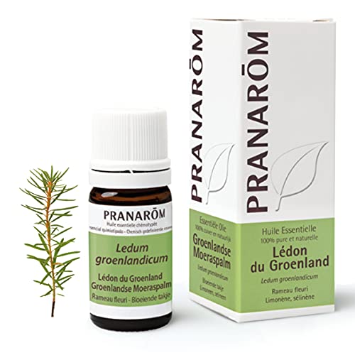 PRANAROM Ätherisches Öl, 5 ml