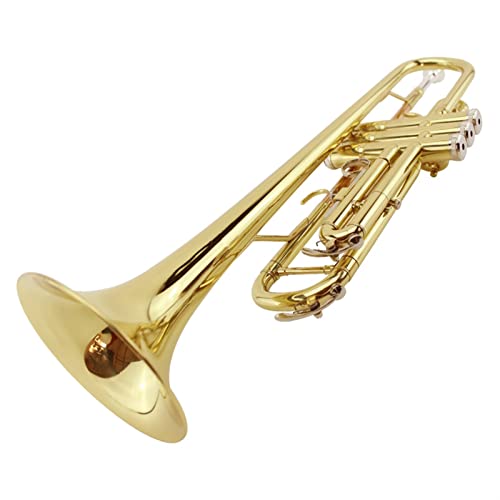 ZENGXUE Kleine Trompete Musikinstrument Professionelle Trompete Anfänger B-Flat Integrierter Horntest Standard-Trompetenset