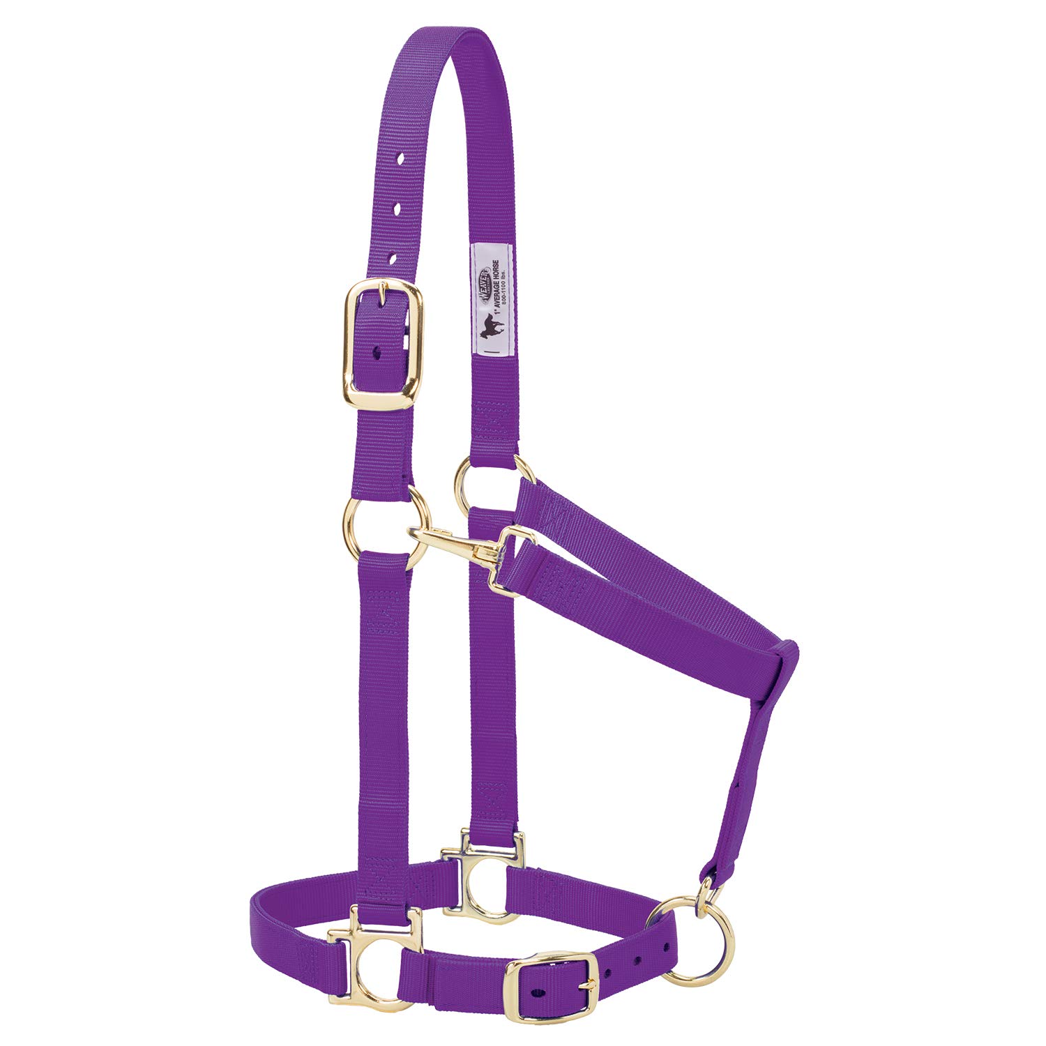 Weaver Leather Basic Adjustable Nylon Halter, Purple, 1" Large Horse