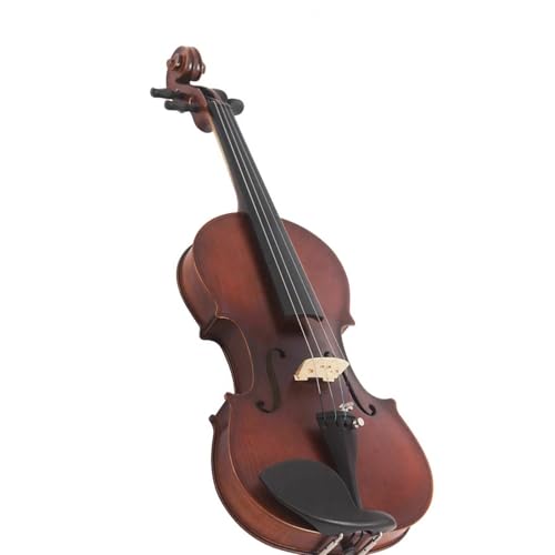 Standard Violine 4/4 Violine Massivholzplatte Professionelles Streichinstrument(Violin)