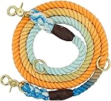 Einteilige Hundeleine, multifunktionales Zugseil, Outdoor, Regenbogen-Farbverlauf, P-förmiges Kettenhalsband, handgewebt, Einteilige Haustierleine, verschleißfest, Blau-Orange