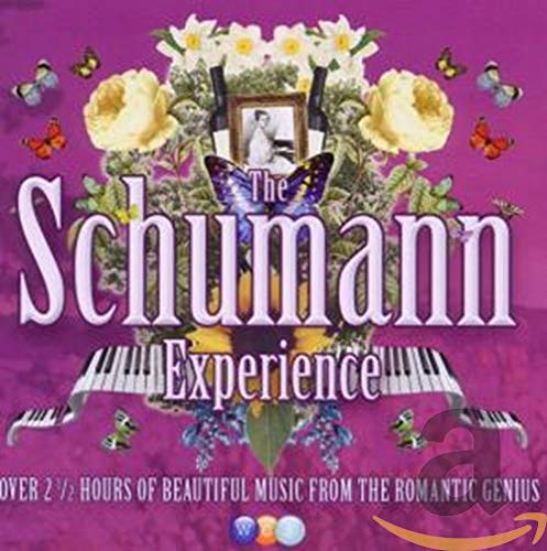 The Schumann Experience