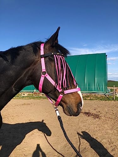 Halfter für Pferde mit Führstrick & Fliegenfransen Pferd, Halfter mit Strick - Halfter Pony Shetty Halfter Cob Full Kb (Warmblut (Full), Schwarz-Pink + Schwarz + Pink)