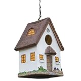 Zkydhbd Garten Vogelhäuser Hängendes Vogelhaus Papageiennest Winddichtes Vogelharz Vogelhaus Für Kolibris