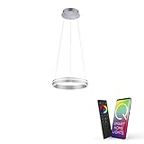 Paul Neuhaus Q-VITO LED Pendelleuchte, Works with Alexa – Smart Home, Fernbedienung CCT warmeiß – kaltweiß (40cm Silber)…