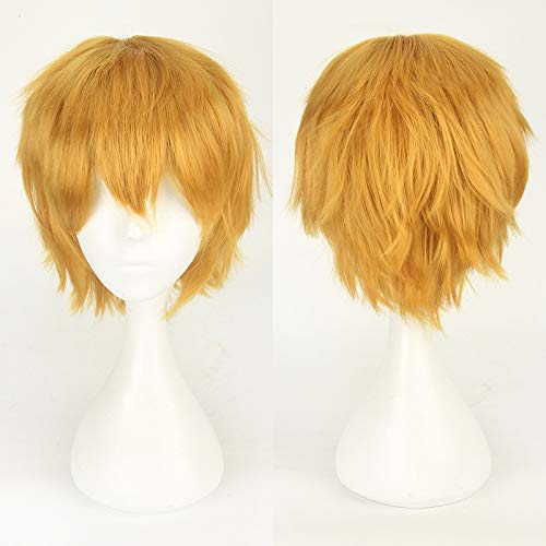 LINLINCD-Wig Anime Cosplay Perücke for Fasching Nachtleben CluI Party Dress Up Perücke Cosplay Anime Perücke Universal Farbe Harajuku Anti-Curled Herren Kurzhaar Anti-Curled Stil