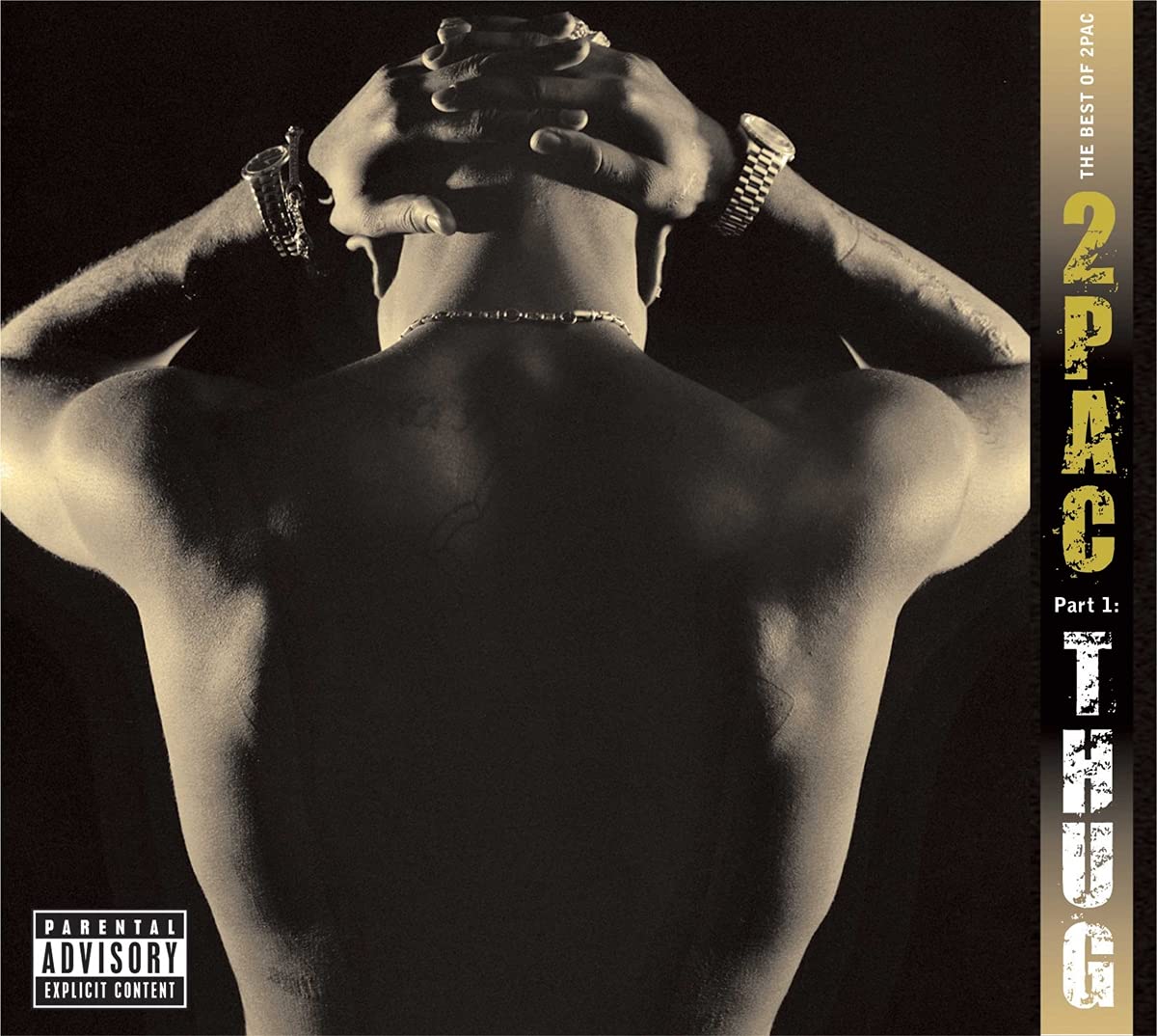 The Best of 2pac Part 1: Thug (2lp) [Vinyl LP]