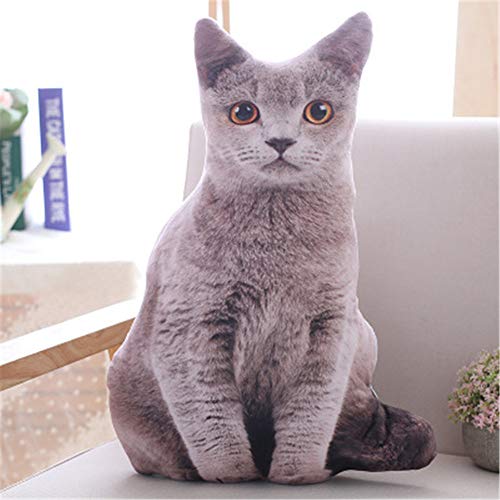 Nicole Knupfer 3D Zierkissen mit waschbarem Bezug, Cute Katze, Dekokissen, weiches Kopfkissen, Sofakissen Couchkissen Home Decoration, geeignet für Allergiker (A,50cm)