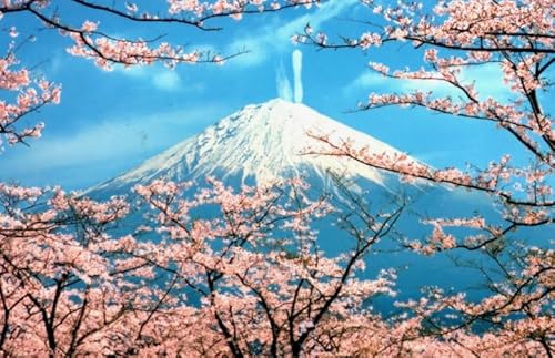 HfmQuisutron Jigsaw Puzzle 1000 Stück Japanische Blumen Landschaft Poster Für Puzzle Home Stressabbau Spiel Xy6Tk