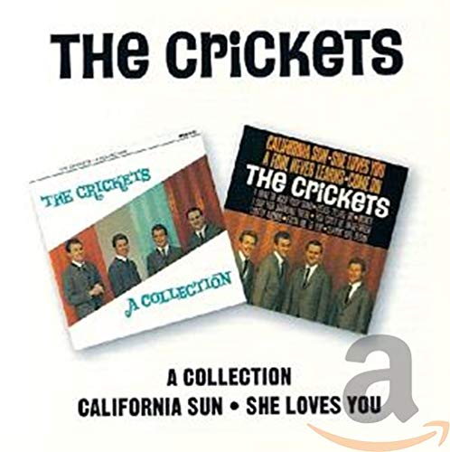 A Collection/California Sun-She Loves You