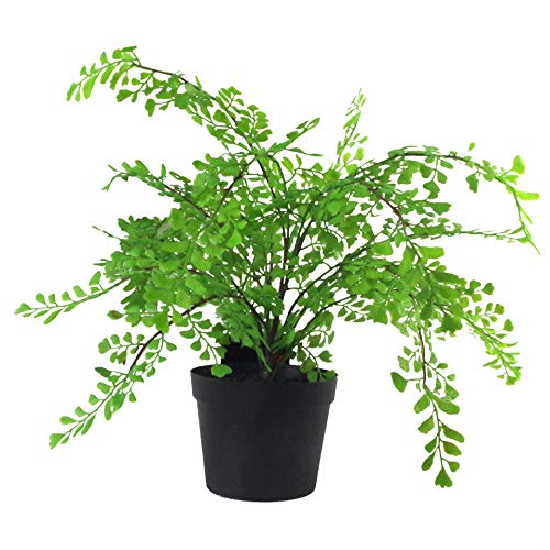 Leaf Künstliche Farnpflanze im Topf, 35 cm, Maidenhair Farn