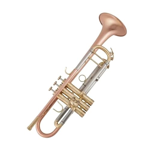 Standard Trompete Trompete aus Phosphorbronze gebürstet professionelles Performance-Grade-Profi-Trompete B-Flach-Trompeteninstrument für Anfänger