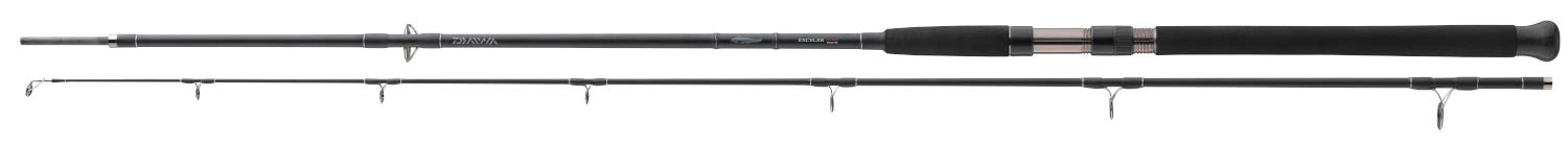 Daiwa Exceler CF Catfish Spin 2.70m -135g