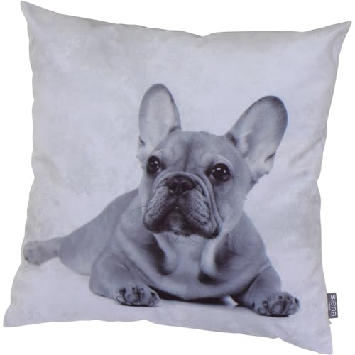 Siena Home Dekokissen ORA, Dessin Französische Bulldogge Velvet 100% Polyester, Dessin 303-Französische Bulldogge