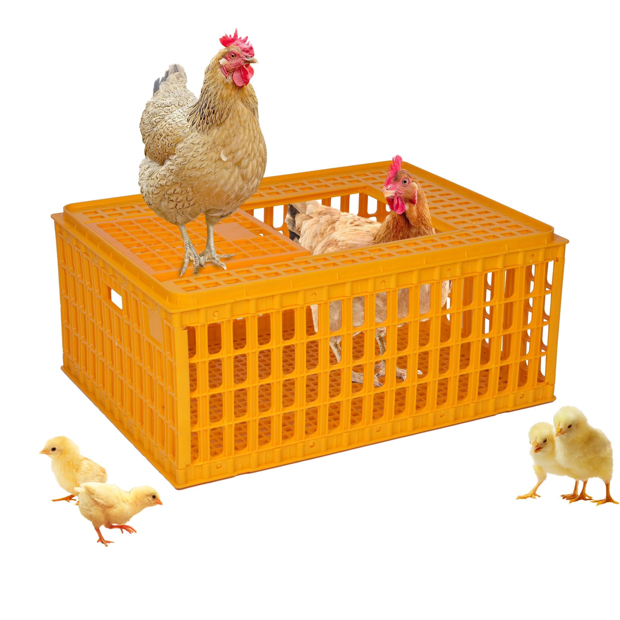 lukar Geflügelträgerkiste Kunststoff Hühner-Transportkiste Käfig Heavy Duty Hühnertragskisten Hühnerkisten Transportbox für 10-13 Erwachsene Huhn Ente Gänsevögel, 29,5 x 21,7 x 13 Zoll