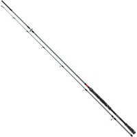 Daiwa Fuego Spin 3.00m 10-40g