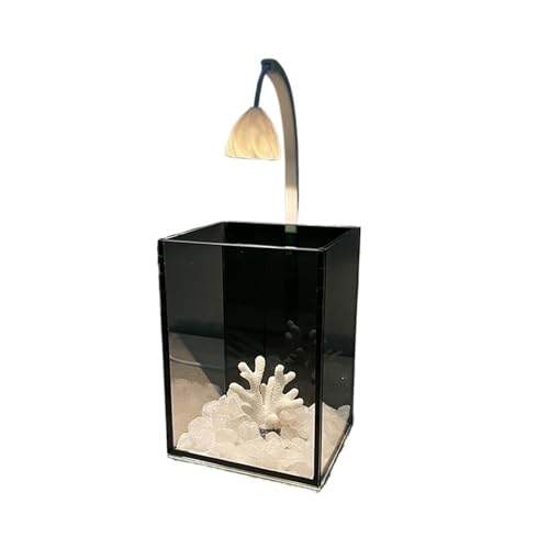 Aquarium Glasaquarium for kleine Fische, kleines Aquarium for den Schreibtisch, mit Beleuchtung, fürs Büro, Schwarze Rückseite, Mini-Aquarium, Heimdekoration Aquarium-Kit