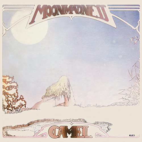 Moonmadness (Vinyl) [Vinyl LP]