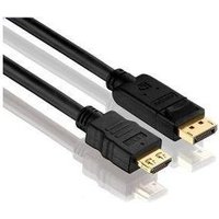 Purelink PureInstall - Videokabel - DisplayPort / HDMI - HDMI (M) bis DisplayPort (M) - 2,0m - Dreifachisolierung - Schwarz (PI5100-020)