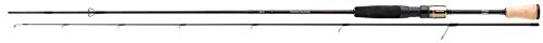 Daiwa Team Light Spinnrute 2.00m 5-12g