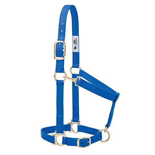 Weaver Leather Basic Adjustable Nylon Halter, Blue, 1" Large Horse