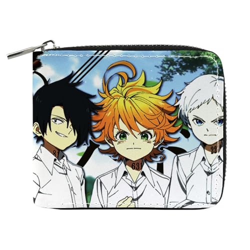 RYNDEX The Promis-ed Neverla-nd Kartenetui Anime, Leder Geldbörse mit Reißverschluss-Design, Geldbörse Geldbeutel Portemonnaie für Geschenkidee(Color:Multicolor 6)