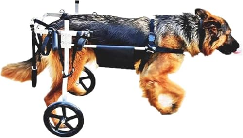 Walking Wheels Rollstuhl für mittelgroße und große Hunde Haustierwagen Walkin Wheels Hinterbeine Rehabilitation, Hundeautogeschirre 15-60 kg Hunde,M