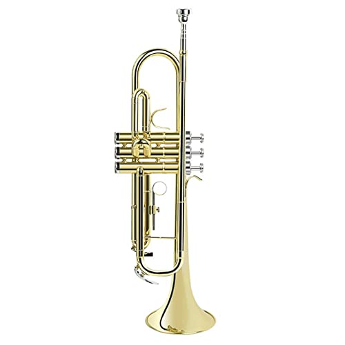 Ein Trompeteninstrument In B-Wohnung Für Die Untersuchung Von Blasinstrumenten (Color : Gold)