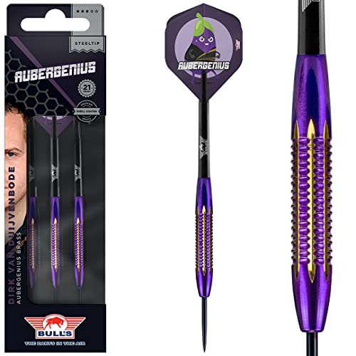 Bull's NL Steel Darts Dirk Van Duijvenbode Aubergenius Brass Steeltip Darts Steeldart 21 g