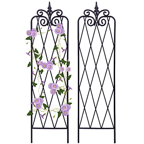 SCENDOR GARDEN Garten Rankgitter für Kletterpflanzen 150CM x 38CM Rostfreies Metall Rankgitter für Kletterpflanzen im Freien, 2 Stück