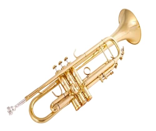 Standard Trompete B-Trompete B-Flach-Messing versilbert professionelles Trompeteninstrument mit Lederetui(Color:Gold)