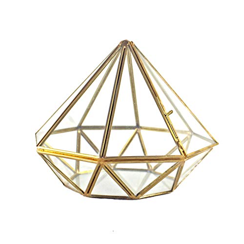 Geometrisches Terrarium Moderner Feengarten Behälter Glas Display Box Für Saftige Farnmoos Luftkaktuspflanzen Für Zuhause