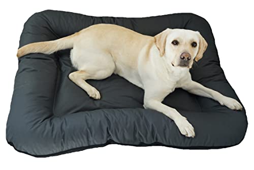 E-dogbed Hundebett KLEO Hundekorb Tierkissen Hundesofa Hundeliege Hundekissen Hundekörbchen Schlafplatz Hundematratze Polyester Farbe und Größe wählbar von M bis XL (S - 80x60 cm, Grau)