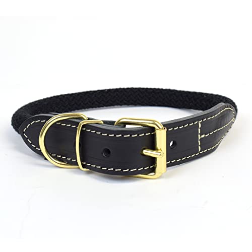 duvoplus, Explorer Forest Halsband Nylon XL – 56 – 64 cm / 14 mm Schwarz, Halsband, Schwarz, Hund