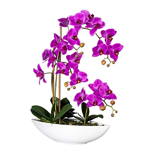 wohnfuehlidee Kunstpflanze Phalenopsis (Orchidee), Farbe lila, inkl. Keramik-Schale, Höhe ca. 60 cm