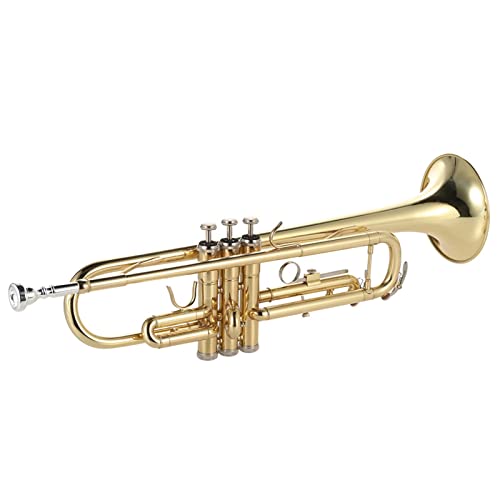 Trompete BB B Flache Trompete Messing Gold-lackiertes Exquisites Dauerhaftes Musikalisches Instrument