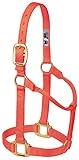 Weaver Leather Original Non Adjustable Halter Med. Knallorange