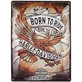 Nostalgic-Art Retro Blechschild, 30 x 40 cm, Harley-Davidson – Born to Ride Eagle – Geschenk-Idee für Biker, aus Metall, Vintage Design