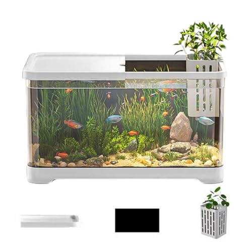 Aquarium-Set – Kleines Aquarium, Aquarium-Starter-Set | Dekoratives Kleines Aquarium, Salzwasseraquarium-Set, Vielseitige Aquarien Mit Korb, Kreatives, Stilvolles Fischaquarium Als Heimdekoration