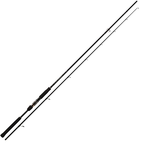 Daiwa Airity Spin AIRS 21G, 2,1 Meter, 7-21 Gramm, 2 Abschnitte, Angelrute Raubtiere, 11926-210