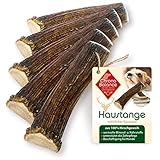 ChronoBalance® XL (5er Set) Geweih Kaustange für Hunde halbierte Stücke Kauspielzeug: Zahnpflege Kaustab aus 100% Hirschgeweih, Hundespielzeug für Zahnhygiene, Kauknochen nachhaltig ohne Chemie