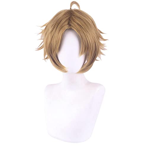 LINLINCD-Wig Anime Cosplay Rudeus Greyrat Cosplay Anime Jobless Reincarnation Mushoku Tensei Role Playing Costumes for Halloween Short Brown Synthetic Wig