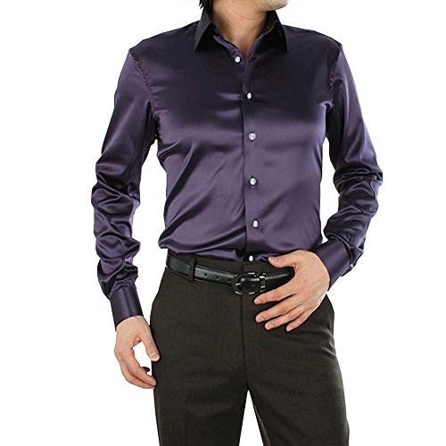 SOMTHRON Herren Mode Glänzt Regelmäßig Fit Seid Hemd Business 20 Farben(DP,XL)